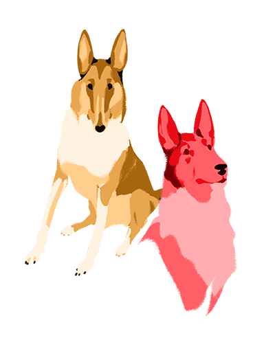 illustration